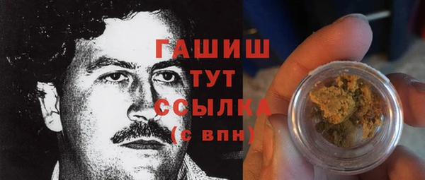 гидра Алексеевка