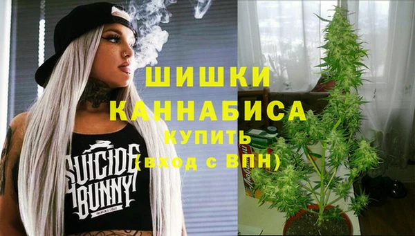 гидра Алексеевка